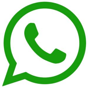 whatsapp dinkes Ngada